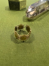 The Hemera Ring