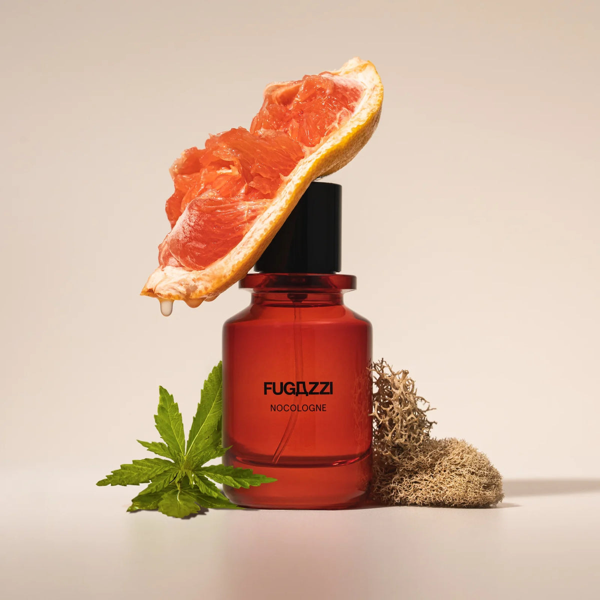 Nocologne Extrait de Parfum 100ml