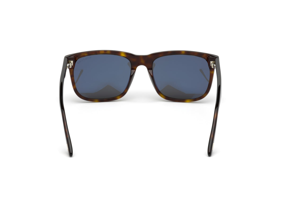 Stephenson Sunglasses - Dark Havana / Smoke Lens
