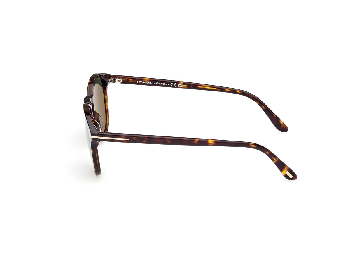 Lewis Sunglasses - Dark Havana / Green Lens