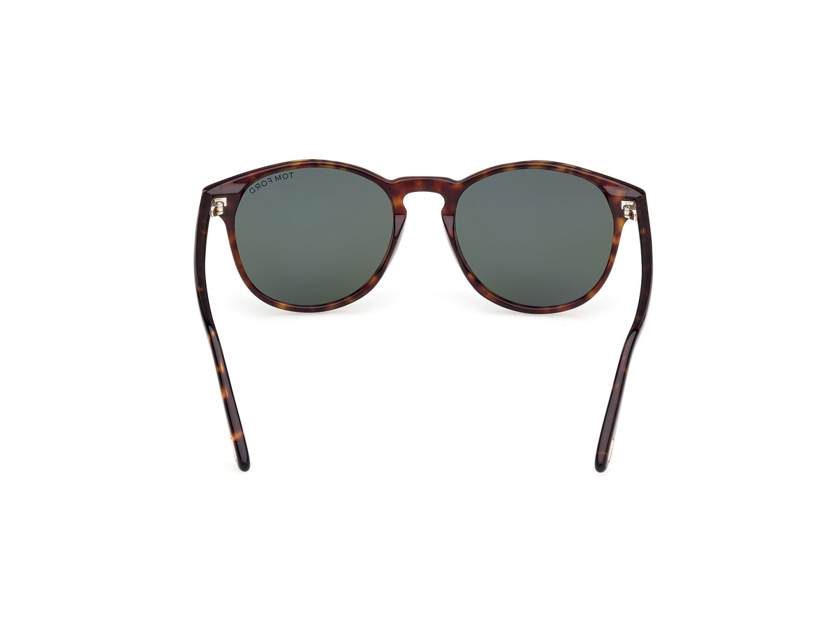 Lewis Sunglasses - Dark Havana / Green Lens