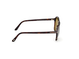 Autari Sunglasses - Dark Havana / Green Lens