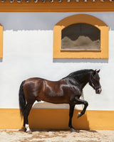 Creed Tabarome Millesime - 100ml