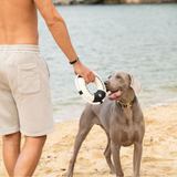 Seaforth Life Saver Dog Toy - Black/Ecru