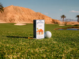 Fairway Oasis Reusable Golf Tee Holder