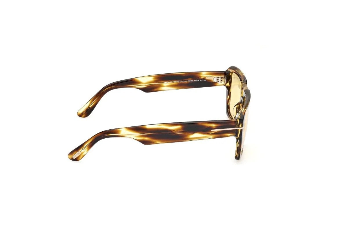Redford Sunglasses - 52E