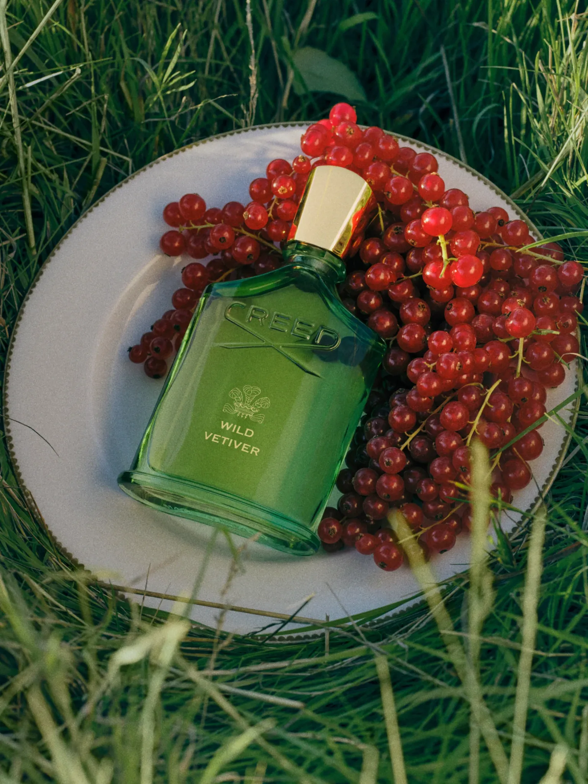 Introducing Creed Wild Vetiver