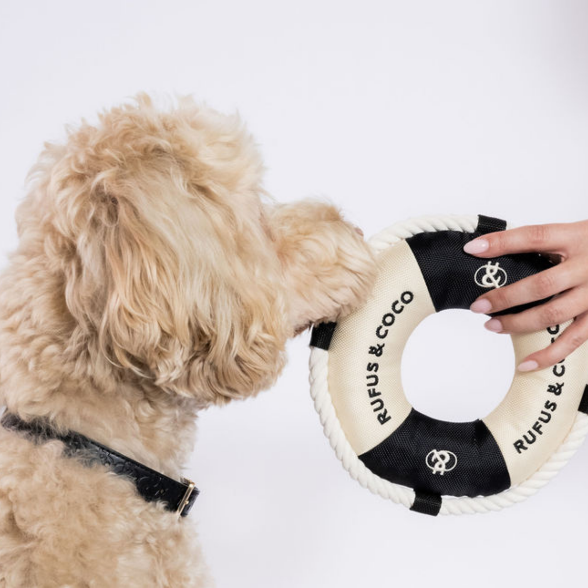 Seaforth Life Saver Dog Toy - Black/Ecru