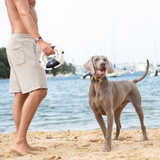 Seaforth Life Saver Dog Toy - Black/Ecru