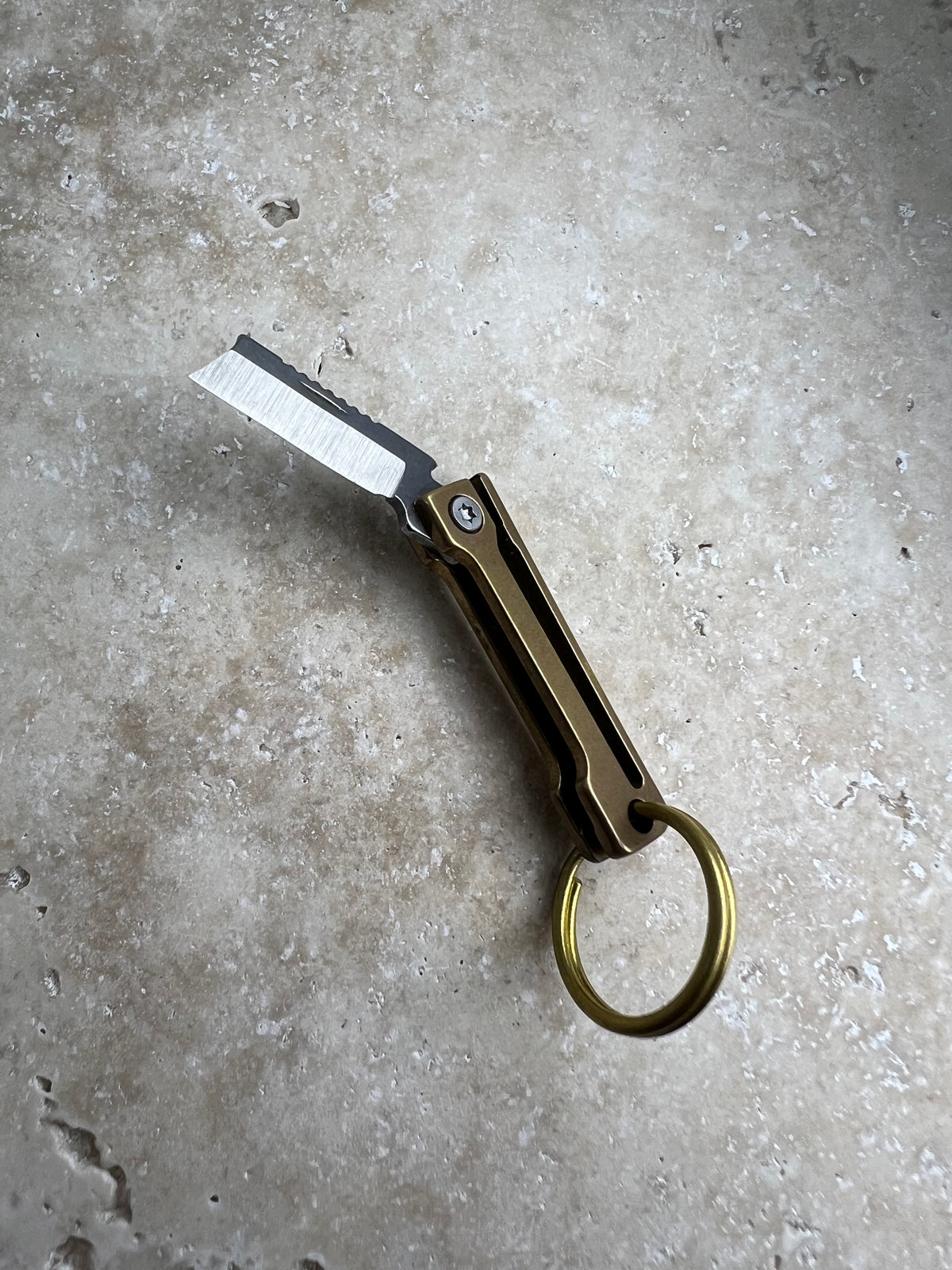 The Aichmomaniac keyring