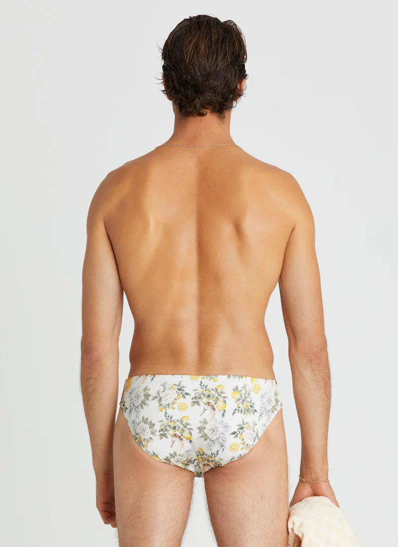 Racer Swim Brief - Clementine