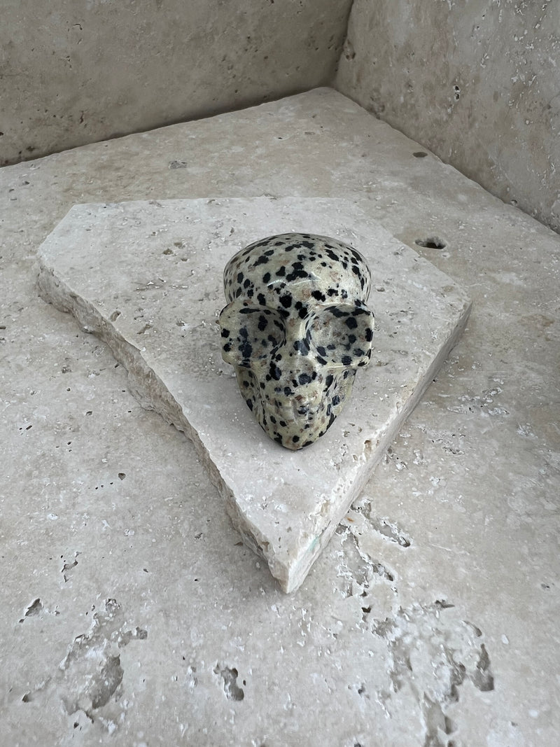 Crystal Skull - Dalmatian Jasper
