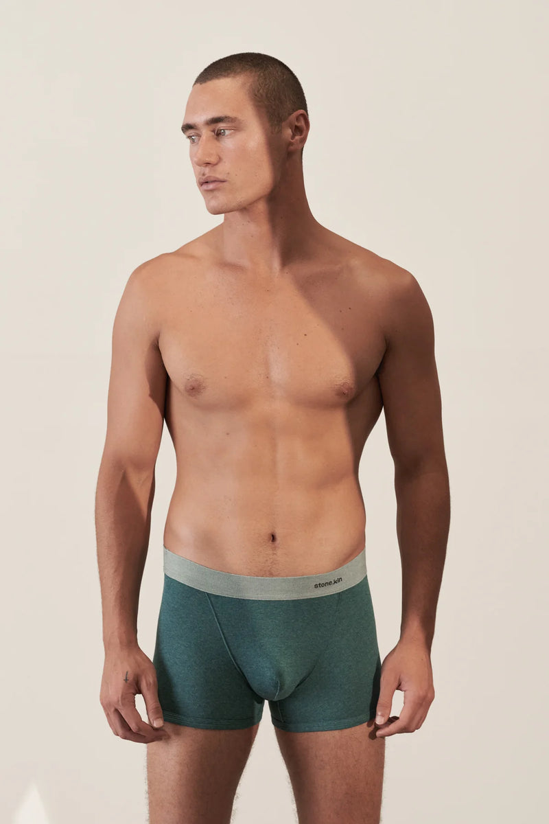 2 X BOXER BRIEF IN ORGANIC COTTON RIB - TEAL & BONE