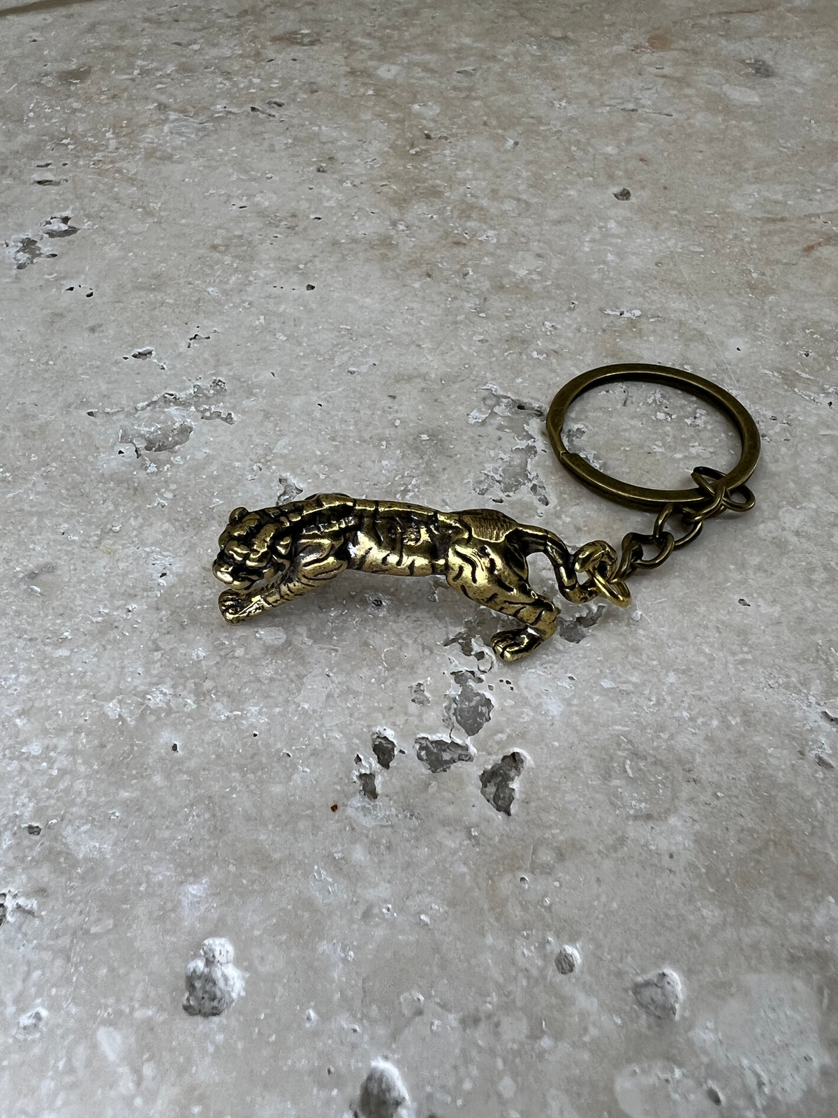 The Eye of the Tiger Keyring