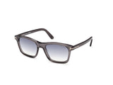 Barron Sunglasses - Shiny Grey / Gradient Smoke