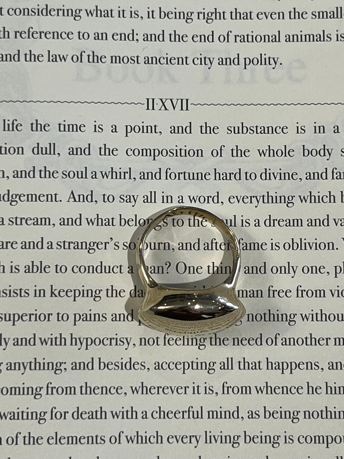 Eros Signet Ring