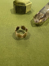 The Hemera Ring