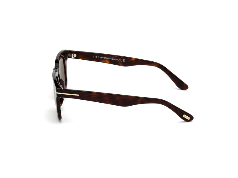 Dax Sunglasses - Amber Havana