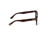 Dax Sunglasses - Amber Havana