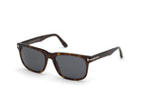 Stephenson Sunglasses - Dark Havana / Smoke Lens