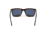 Stephenson Sunglasses - Dark Havana / Smoke Lens