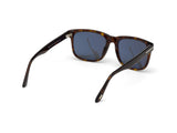 Stephenson Sunglasses - Dark Havana / Smoke Lens
