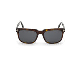 Stephenson Sunglasses - Dark Havana / Smoke Lens