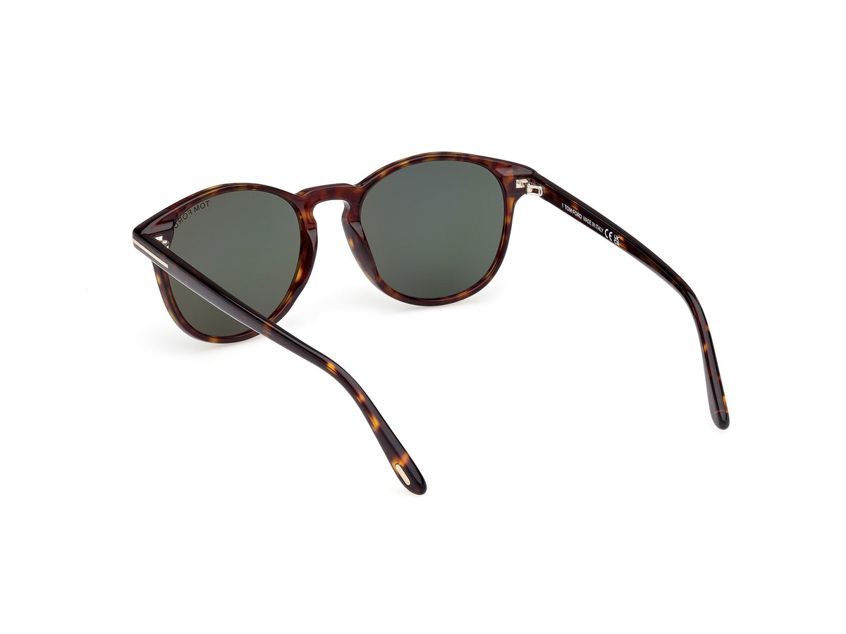 Lewis Sunglasses - Dark Havana / Green Lens