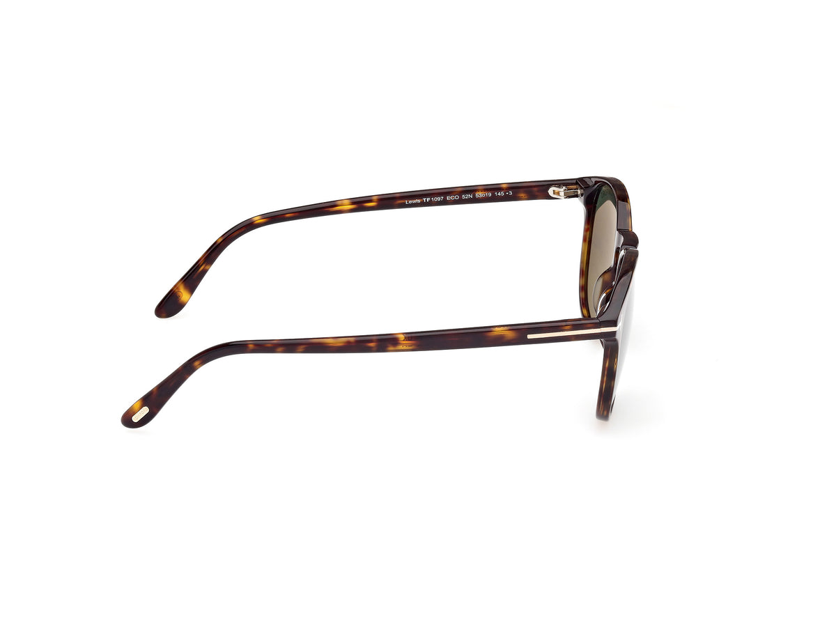 Lewis Sunglasses - Dark Havana / Green Lens