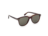 Damian Sunglasses - Dark Havana