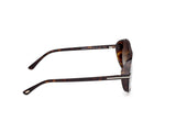 Guillaume Sunglasses - Dark Havana / Gradient Roviex
