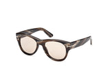 Burton Two - Striped Brown Horn / Brown Photochromic Lens