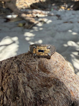 Terra medallion signet + sapphire - Pinky ring