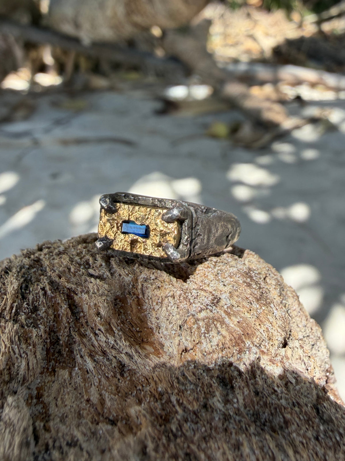 Terra medallion signet + sapphire - Pinky ring