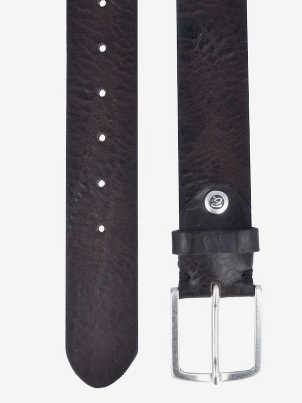 Zac Belt - Dark Brown & Silver