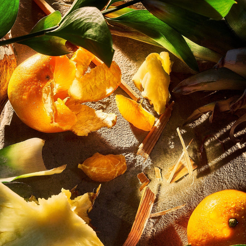 Apex Pour Homme 100ml