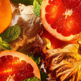 Burlington 1819 100ml