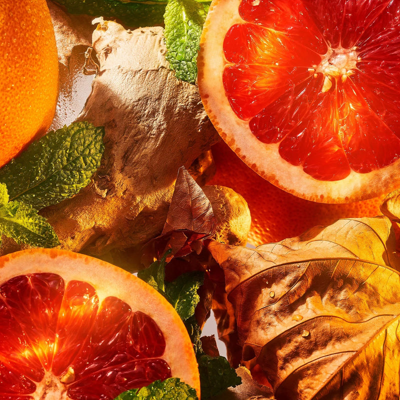 Burlington 1819 100ml